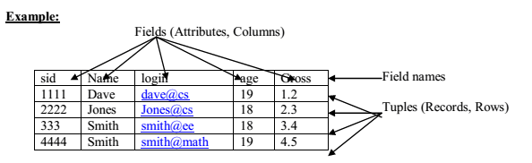 Database Management System Relational Model EXAMRADAR