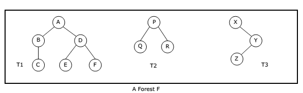 a-forest-f
