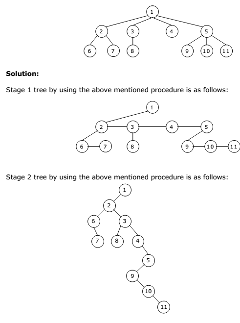 Data Structure Converting A M Ary Tree General Tree To A Binary Tree Examradar