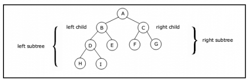 Data Structure - Binary Trees - EXAMRADAR