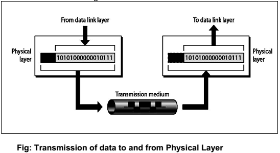 transmission-of-data-to-and-from-physical-layer