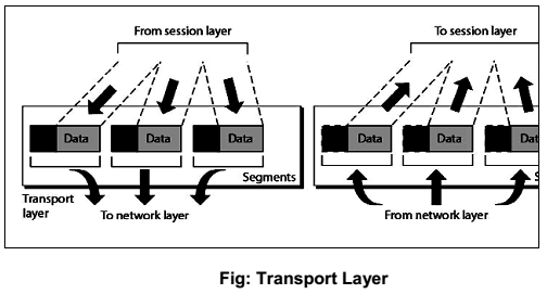 transport-layer