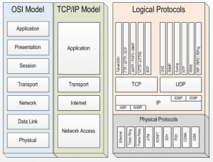 Data Communication and Networking - Network Models Study Notes - EXAMRADAR